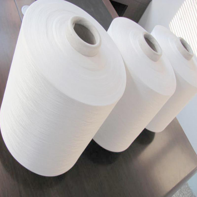 polyester pet chips