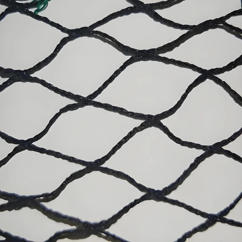 partially oriented yarns
